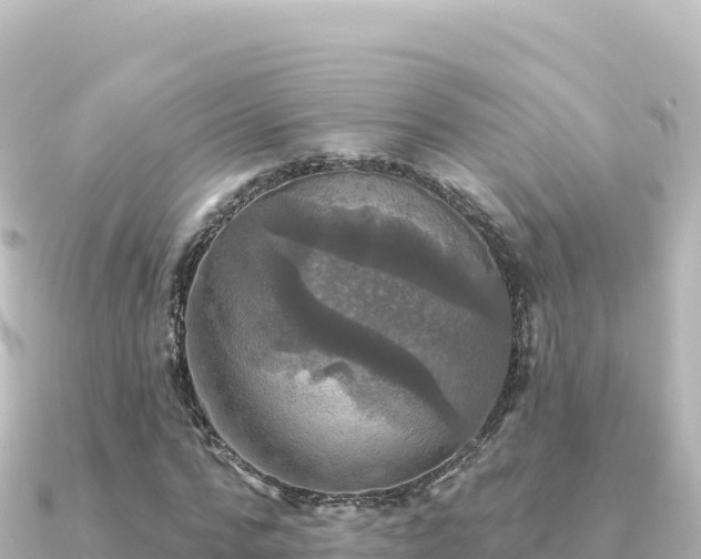 X0000091350776200708101529