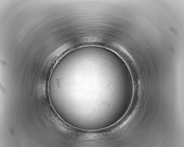 X0000091350777200708101529