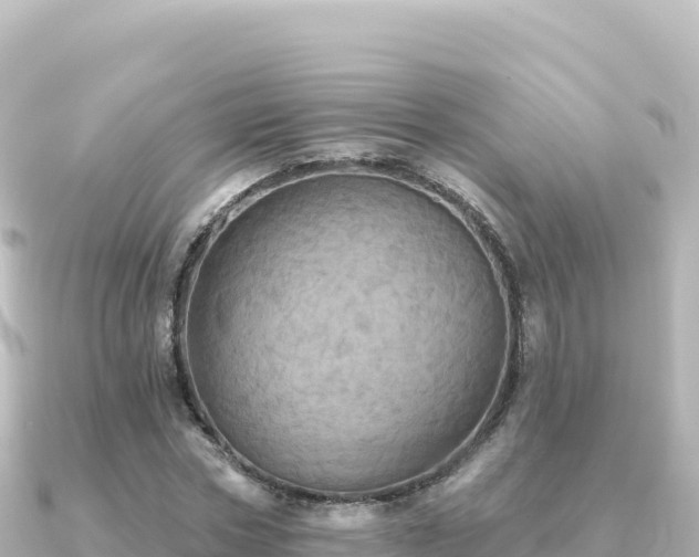 X0000091350778200708101529