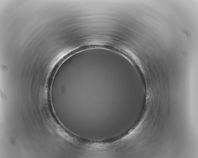 X0000091350779200708101529