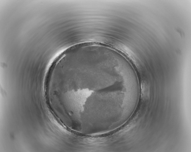 X0000091350780200708101529