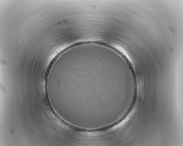 X0000091350781200708101529