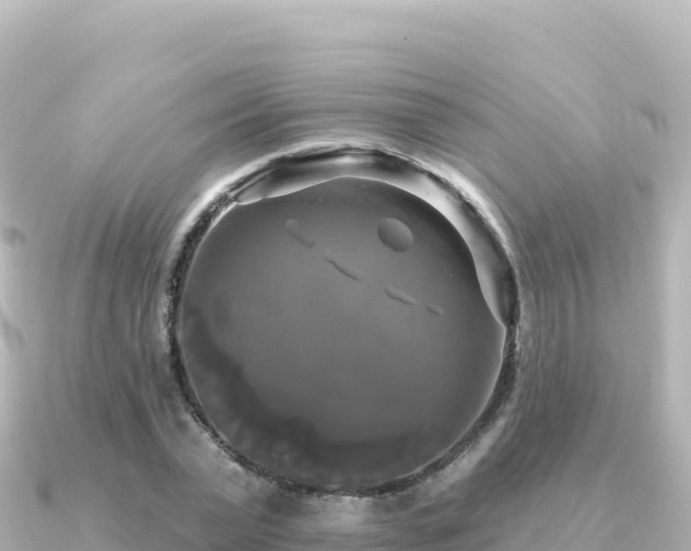 X0000091350783200708101529