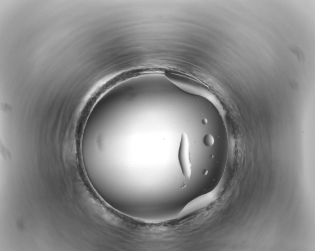 X0000091350784200708101529