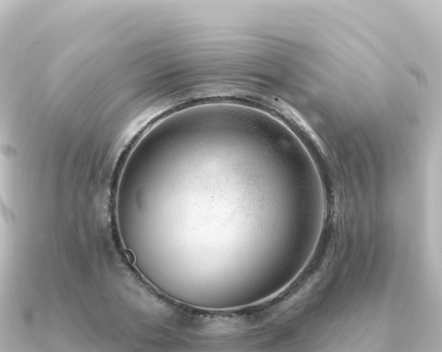 X0000091350786200708101529