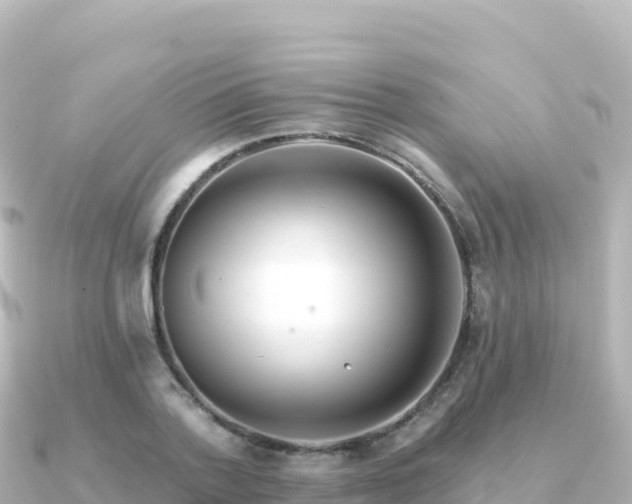 X0000091350788200708101529