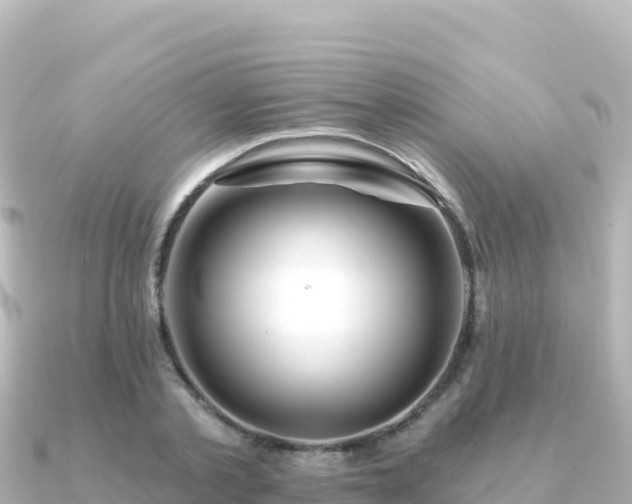 X0000091350789200708101529