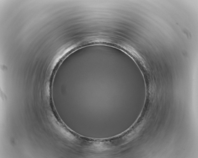 X0000091350790200708101529