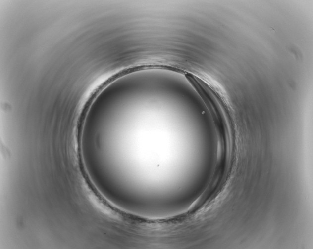 X0000091350792200708101529
