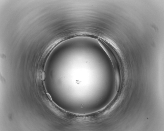 X0000091350793200708101529