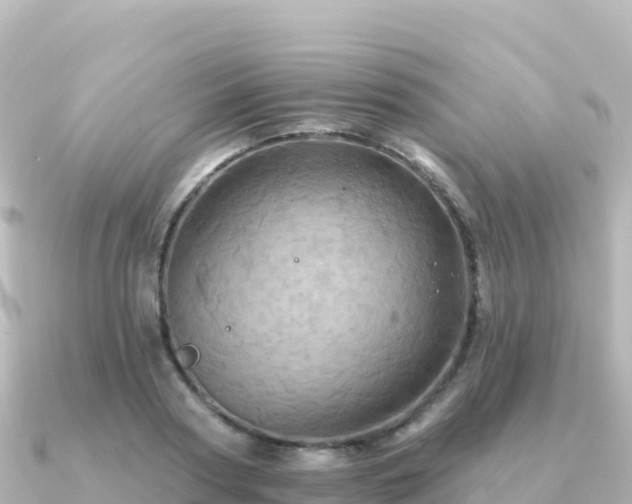 X0000091350794200708101529