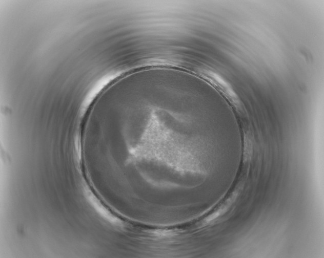 X0000091350796200708101529