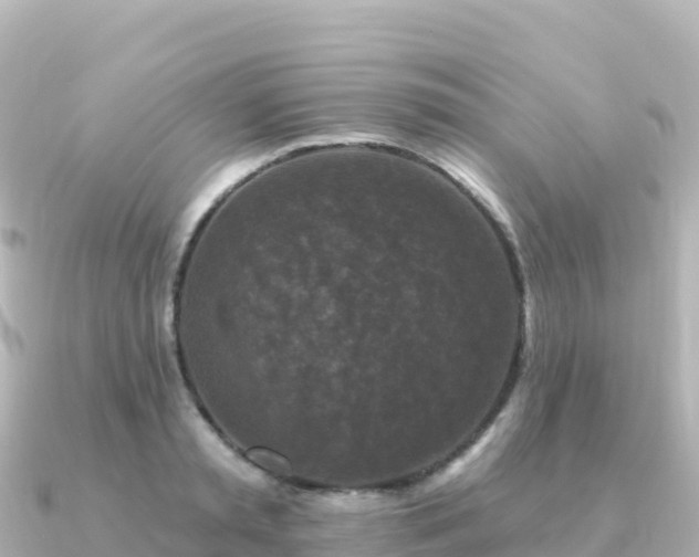 X0000091350797200708101529
