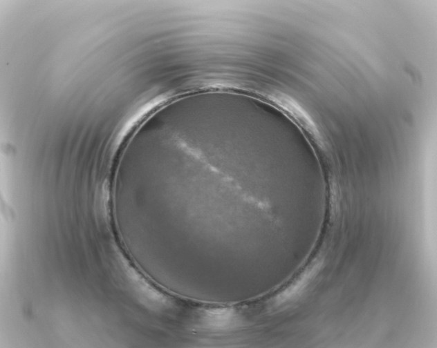 X0000091350798200708101529