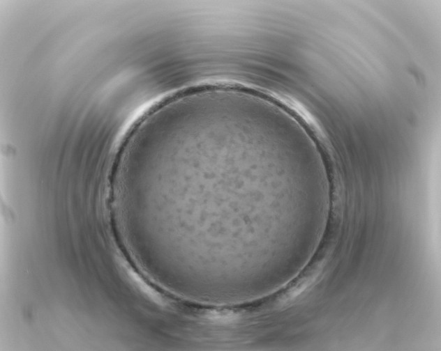 X0000091350799200708101529