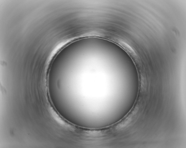 X0000091350800200708101529