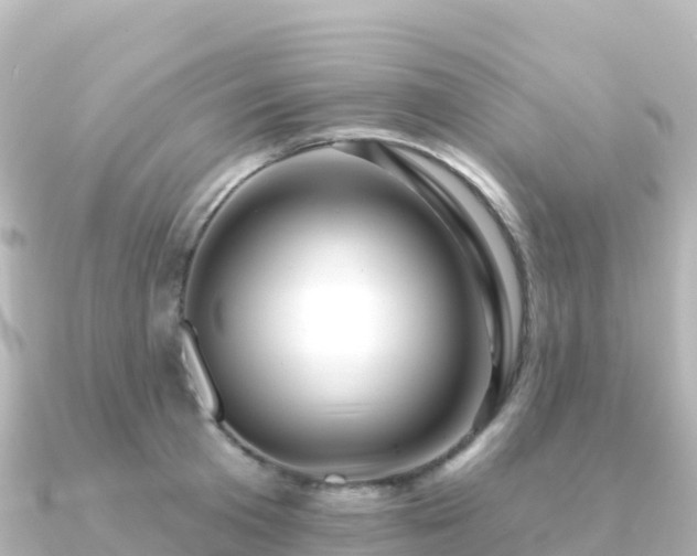X0000091350801200708101529