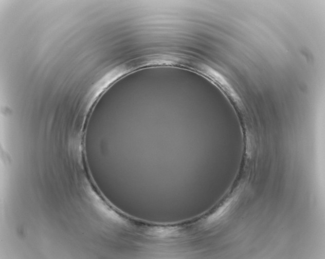 X0000091350802200708101529