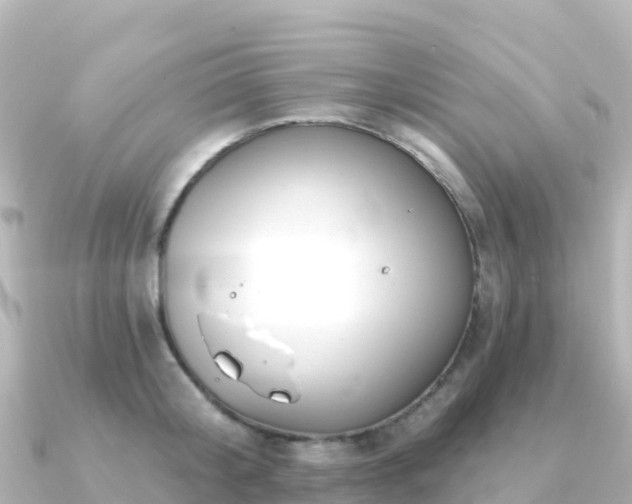X0000091350804200708101529