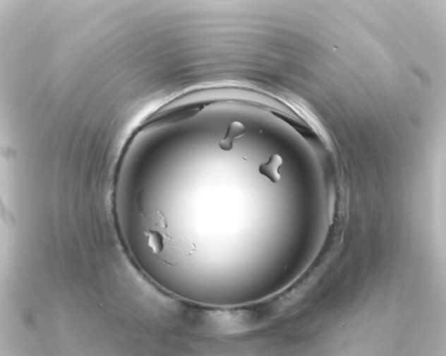 X0000091350805200708101529
