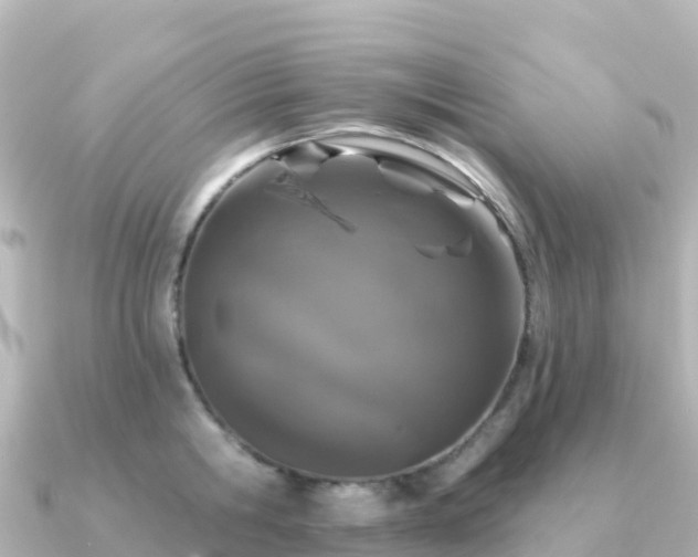 X0000091350806200708101529