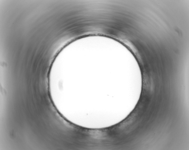 X0000091350807200708101529