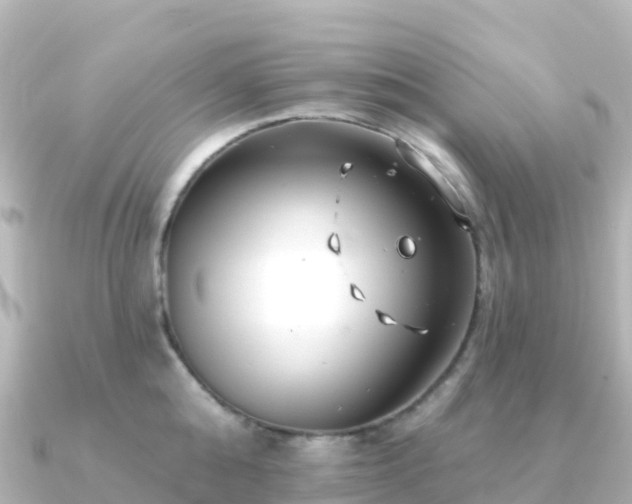 X0000091350808200708101529