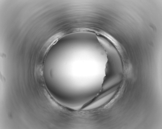 X0000091350809200708101529