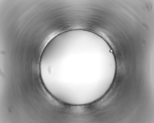 X0000091350810200708101529
