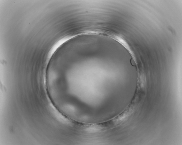 X0000091350811200708101529