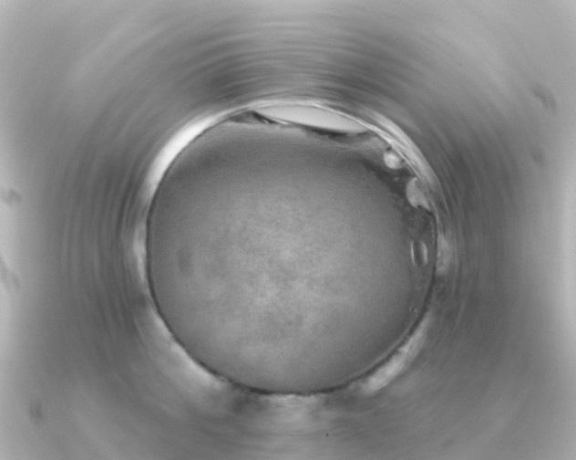 X0000091350812200708101529