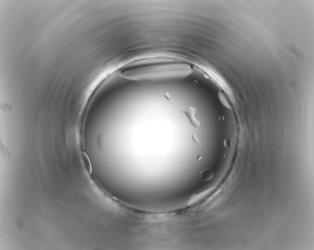 X0000091350813200708101529
