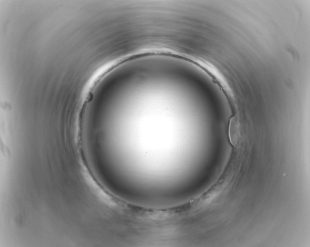 X0000091350815200708101529