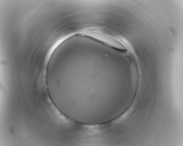 X0000091350816200708101529