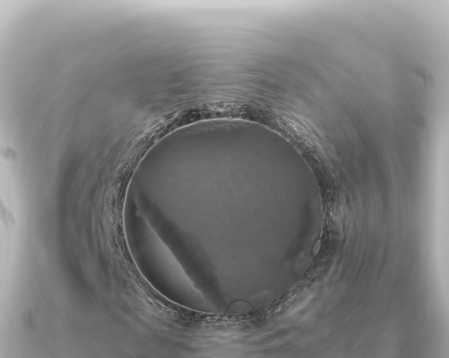 X0000091350817200708101528