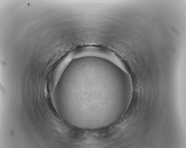 X0000091350818200708101528