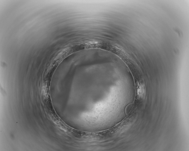 X0000091350819200708101528