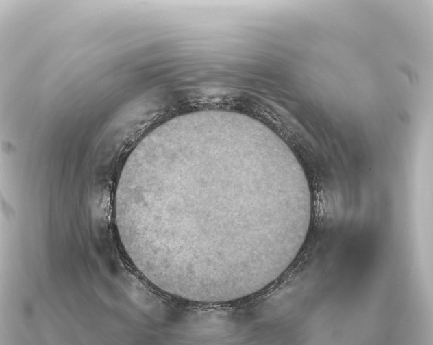 X0000091350820200708101528