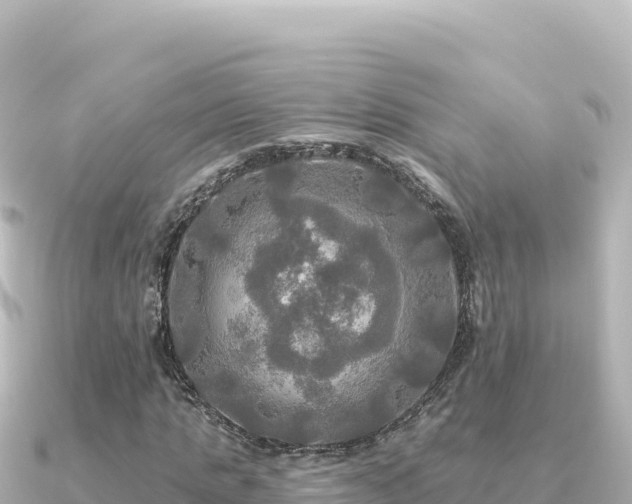 X0000091350821200708101528