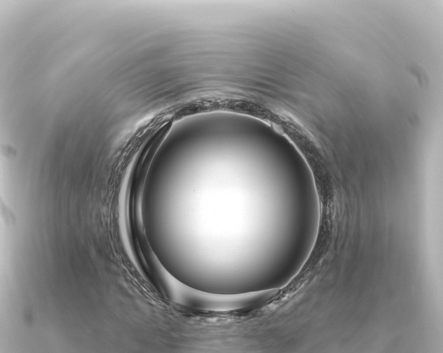 X0000091350822200708101528