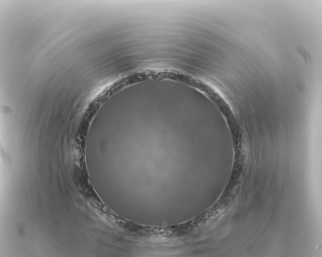 X0000091350823200708101528