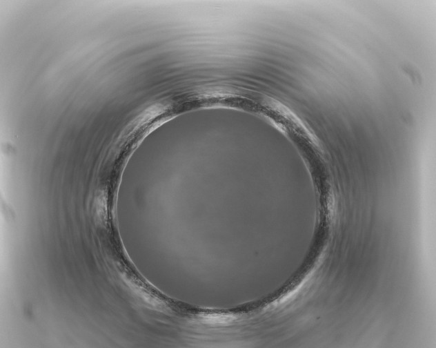 X0000091350825200708101528