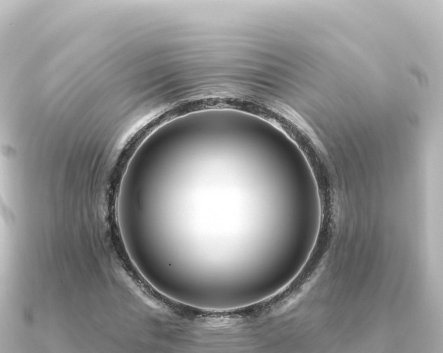 X0000091350826200708101528