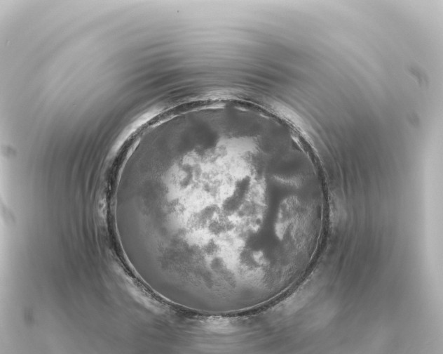 X0000091350827200708101528