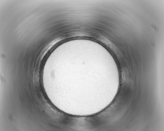 X0000091350828200708101528