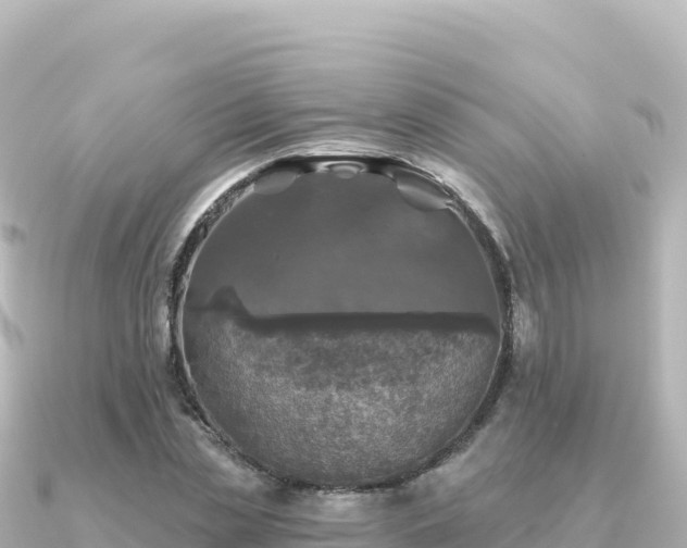 X0000091350829200708101528