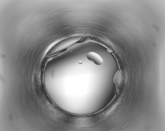 X0000091350830200708101528