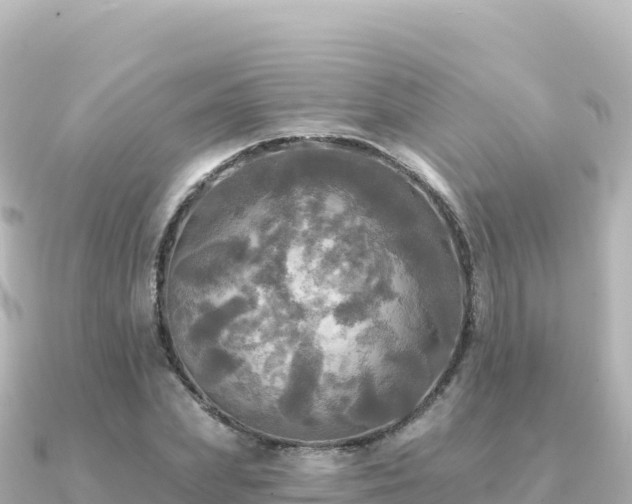 X0000091350831200708101528
