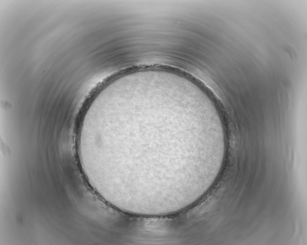 X0000091350832200708101528