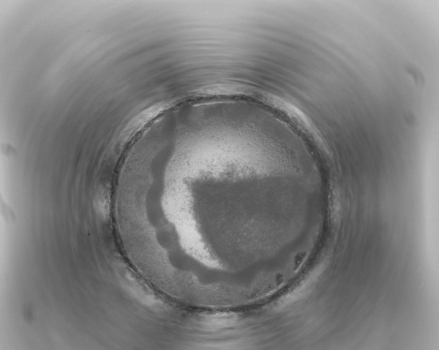 X0000091350833200708101528